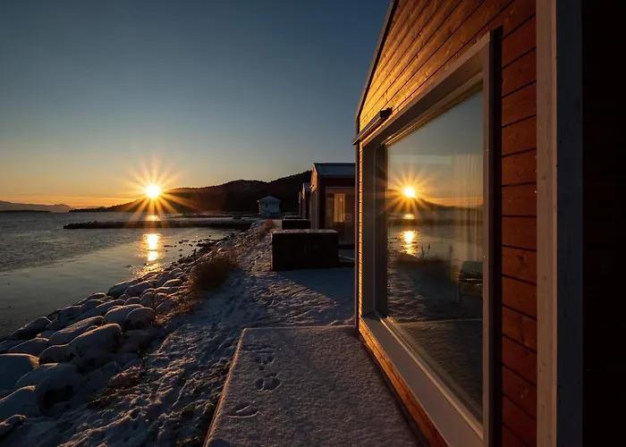 Norwegian Wild