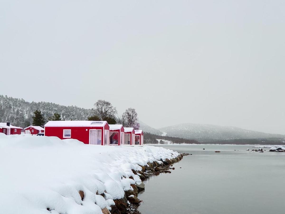 Norwegian Wild Lodge *