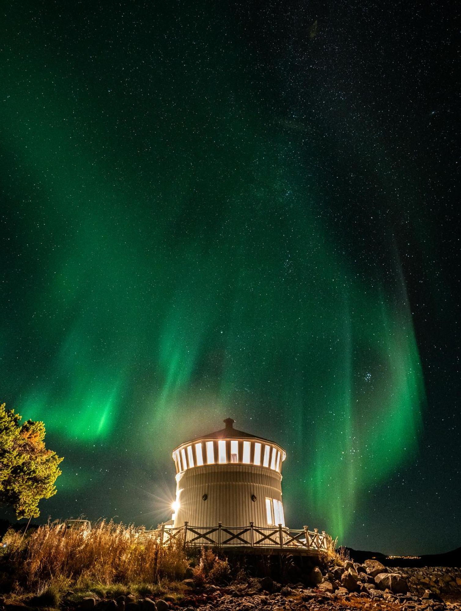 Norwegian Wild * Brygghaugen