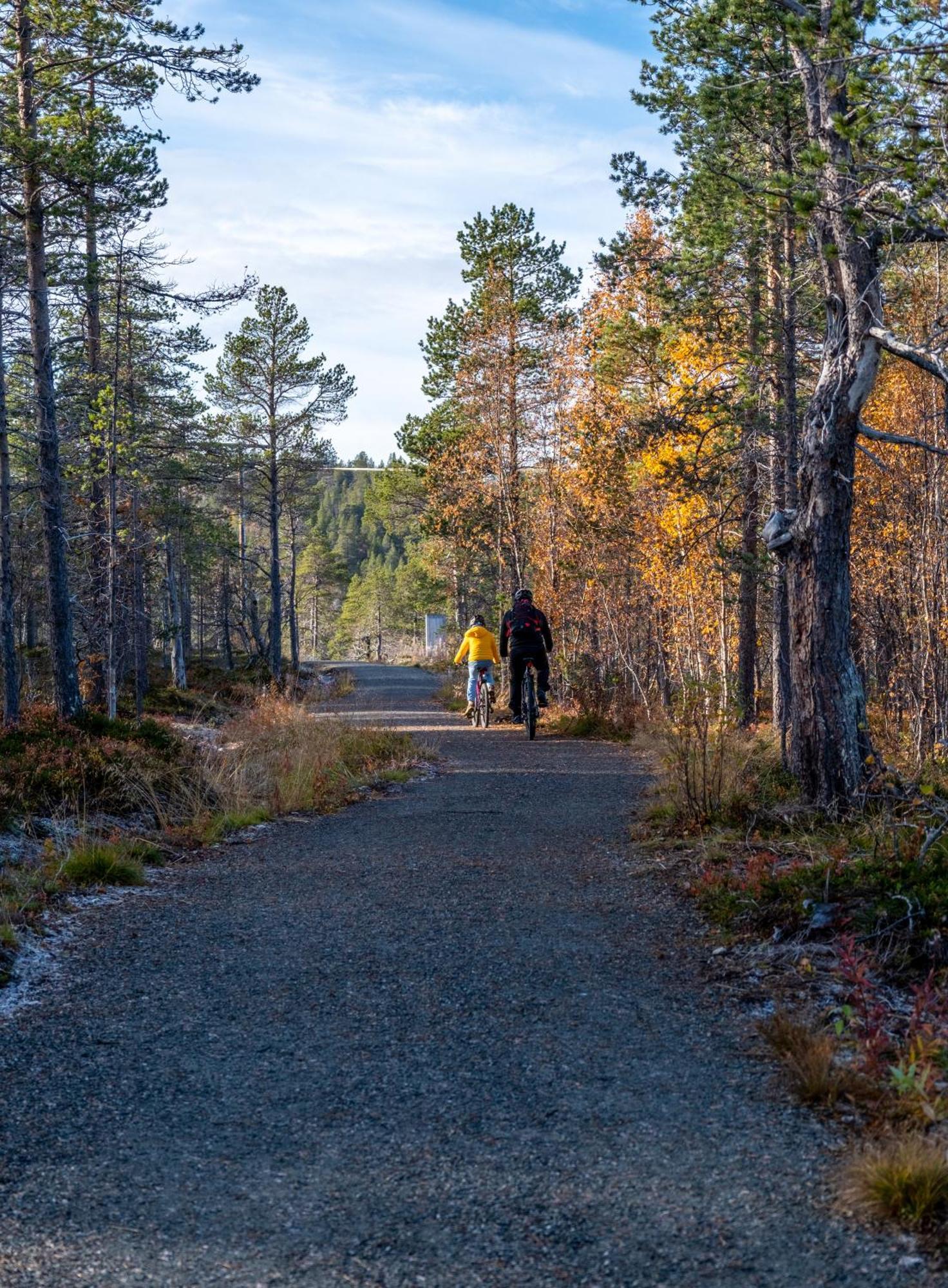 Norwegian Wild Brygghaugen
