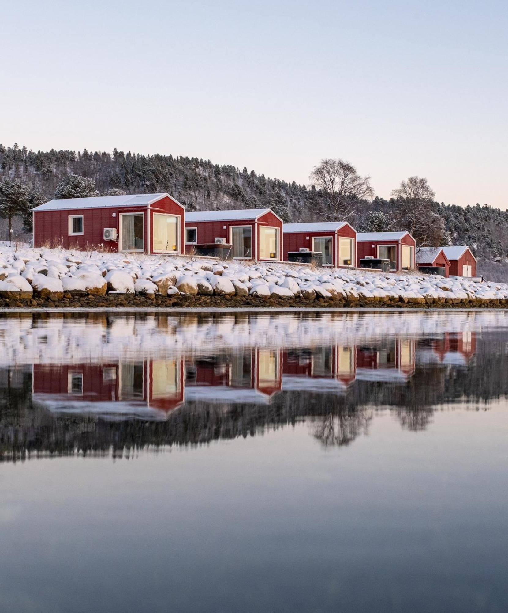 Norwegian Wild * Brygghaugen