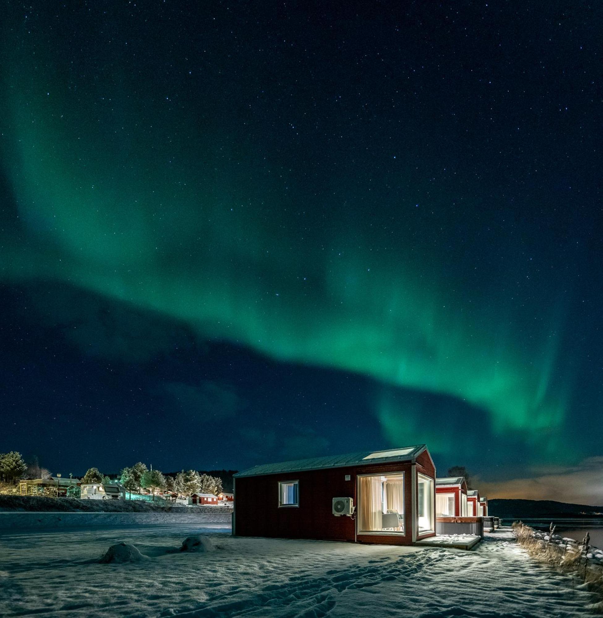Norwegian Wild Brygghaugen