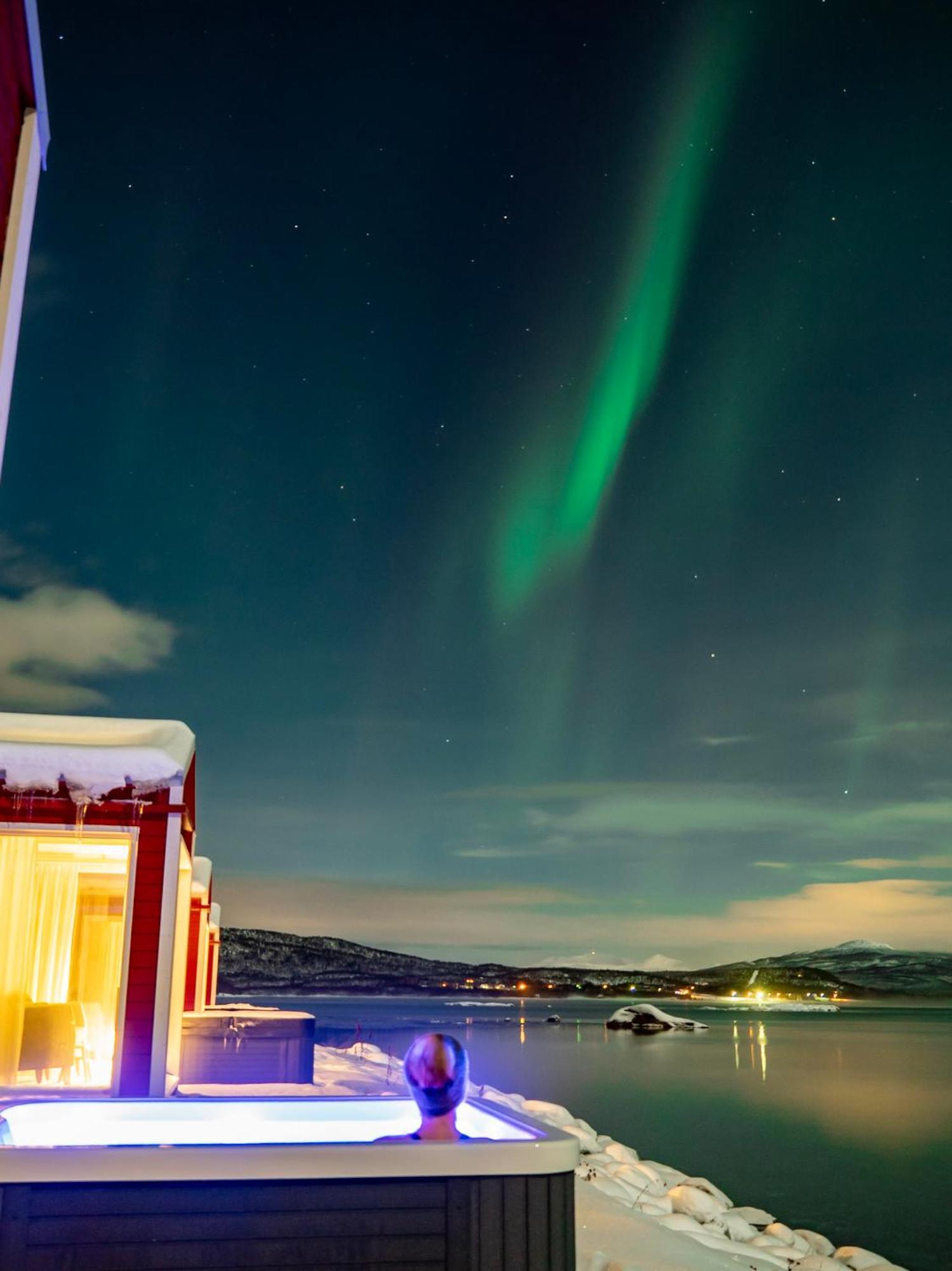 Norwegian Wild