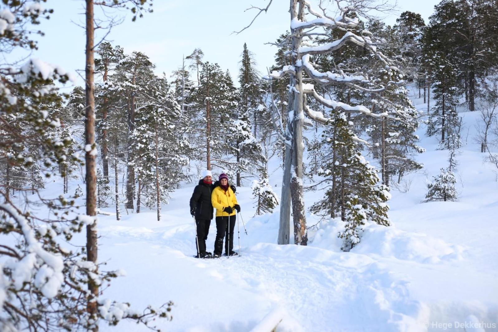 Lodge Norwegian Wild