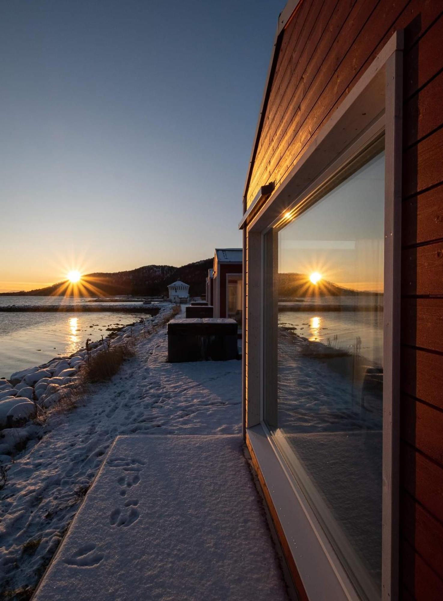 Lodge Norwegian Wild