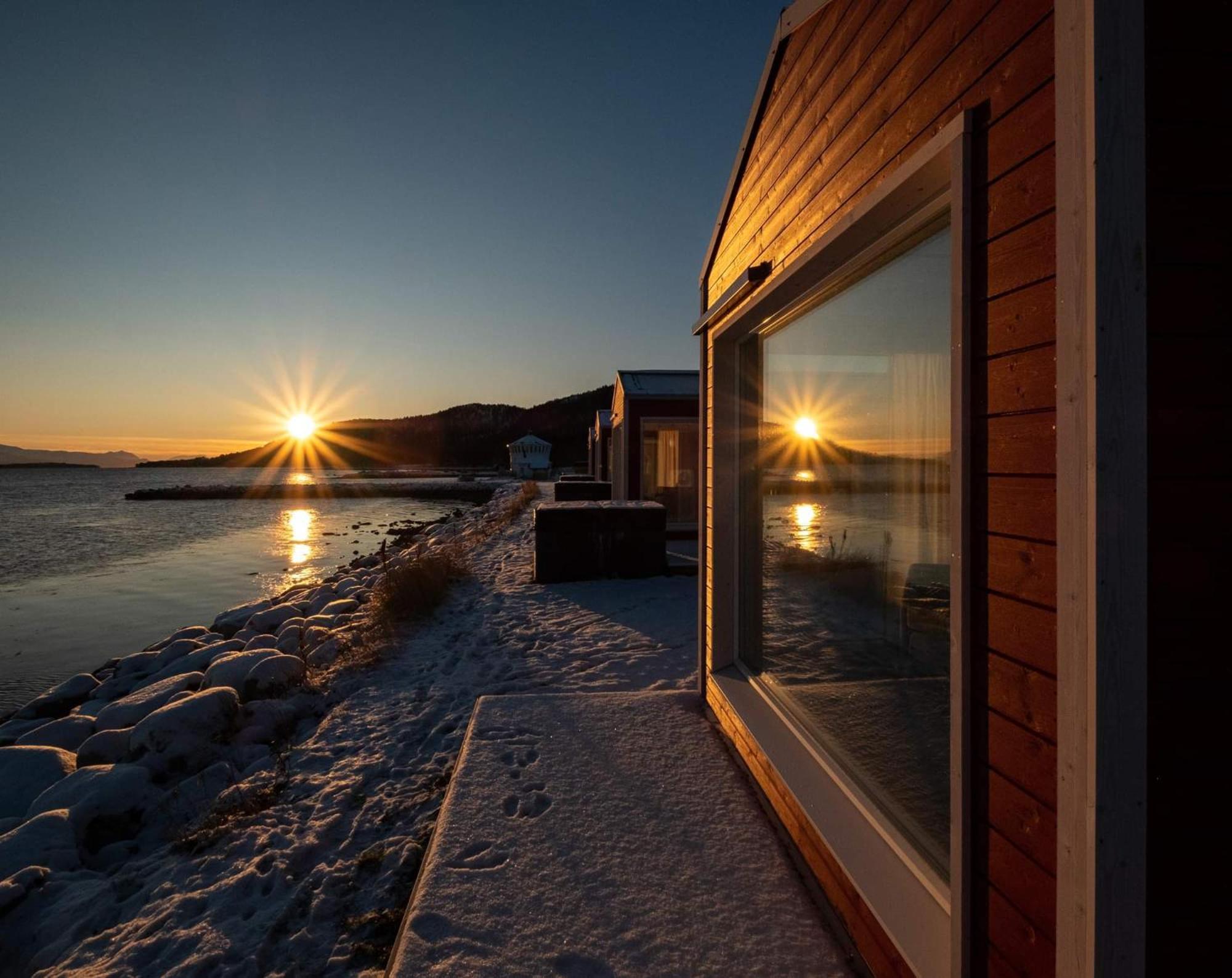 Lodge Norwegian Wild
