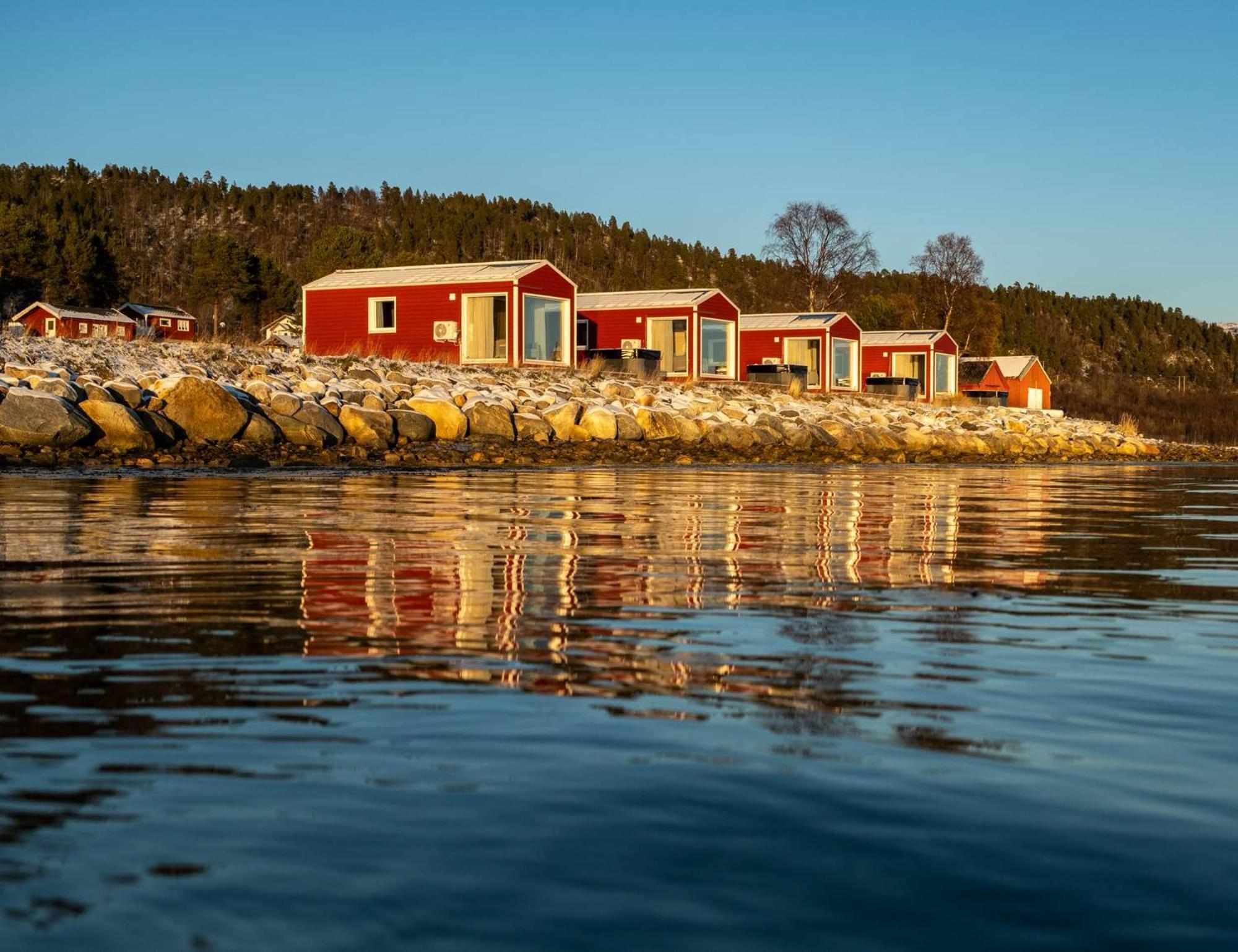 Lodge Norwegian Wild