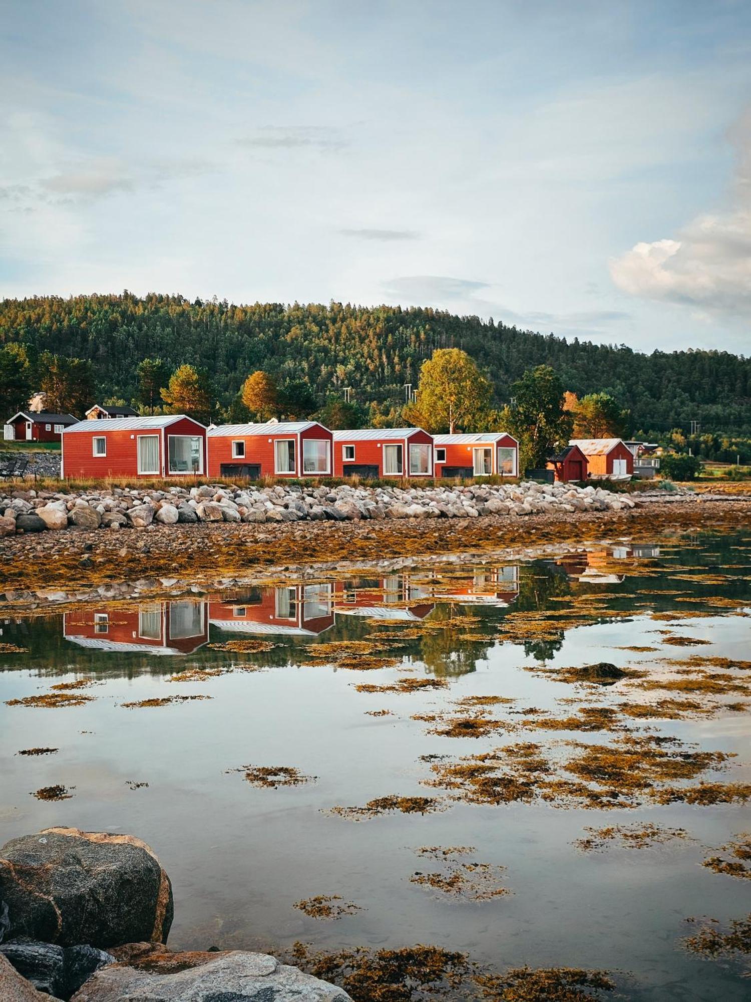 Lodge Norwegian Wild *