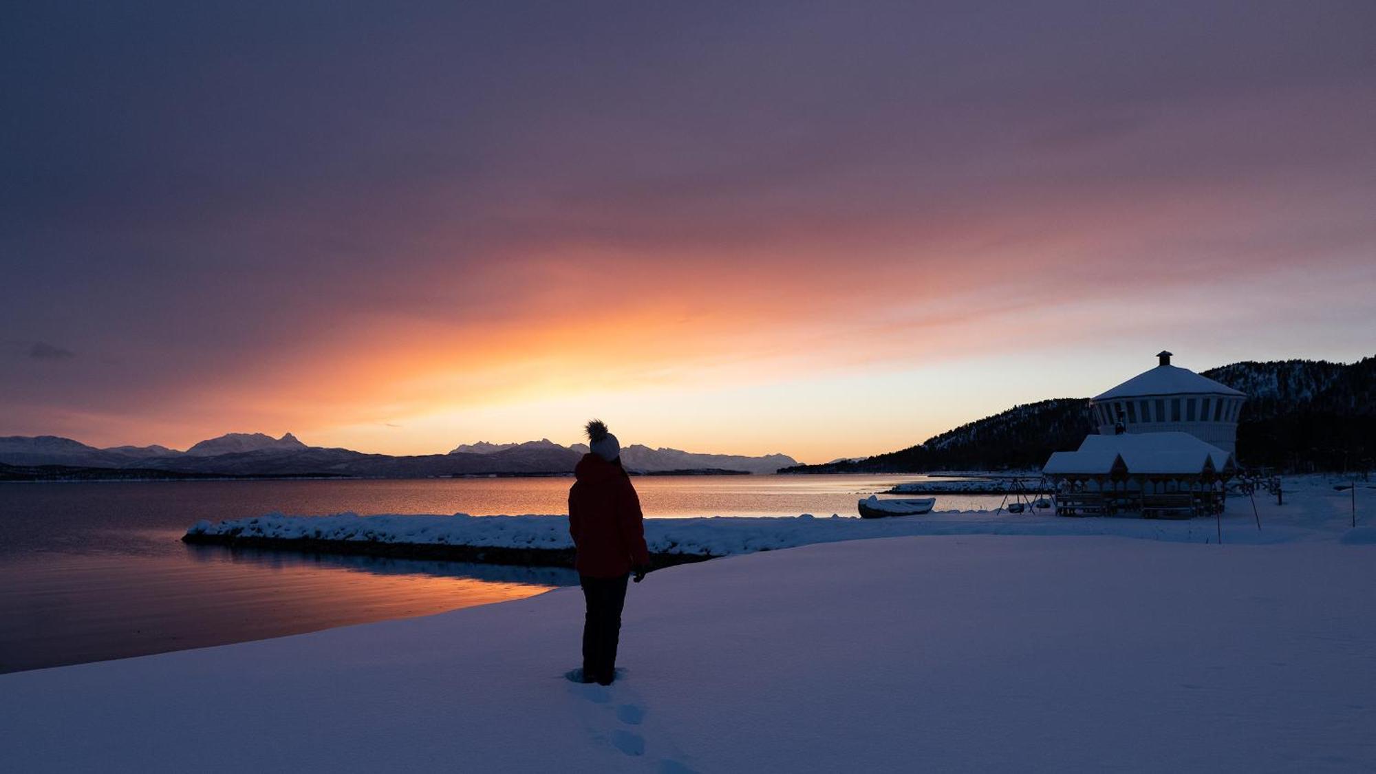 Norwegian Wild *