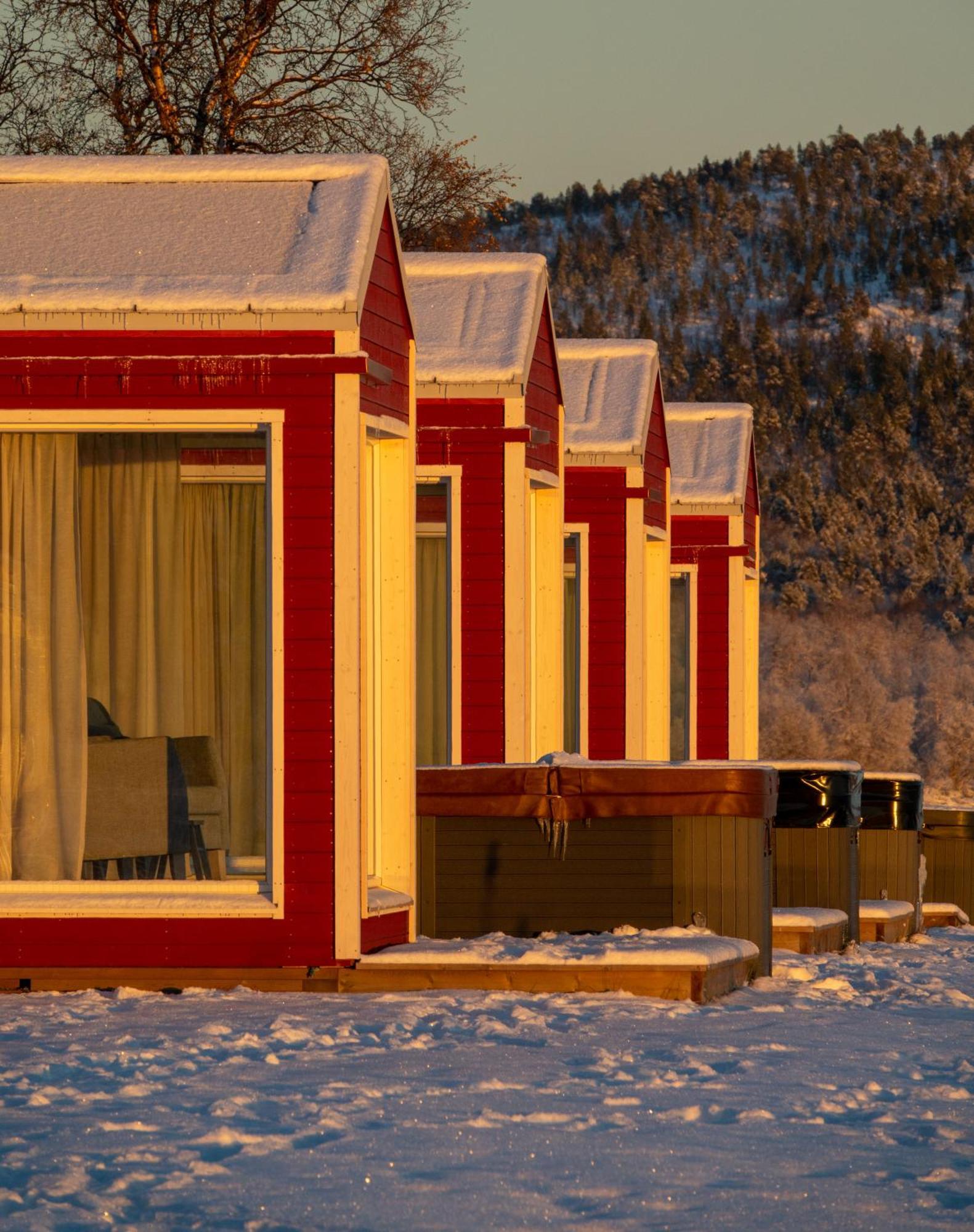 Lodge Norwegian Wild *