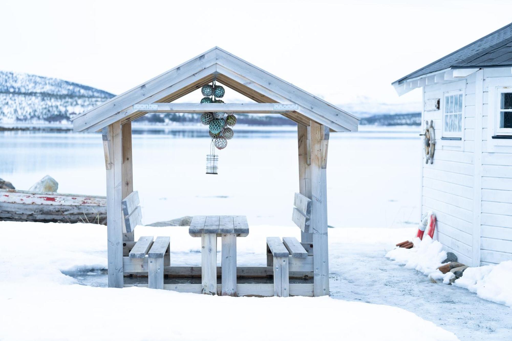 Lodge Norwegian Wild