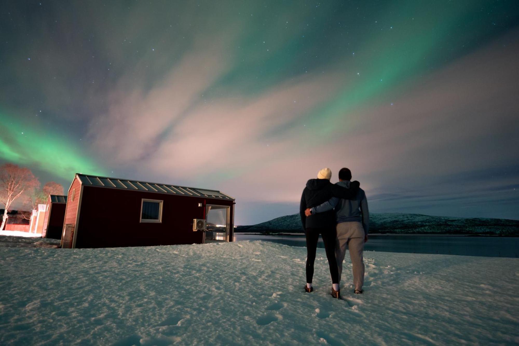 Norwegian Wild * Brygghaugen