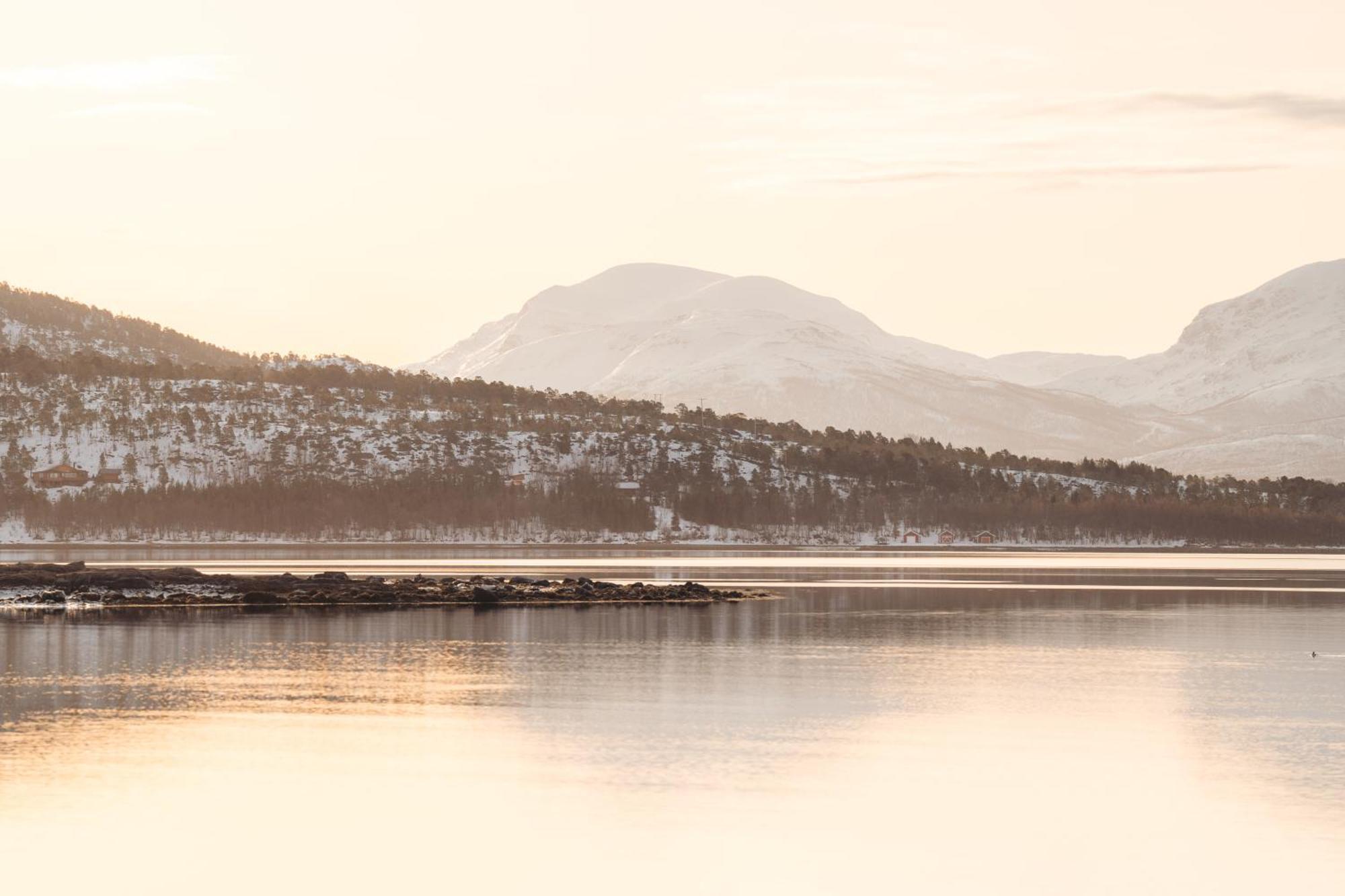 Norwegian Wild