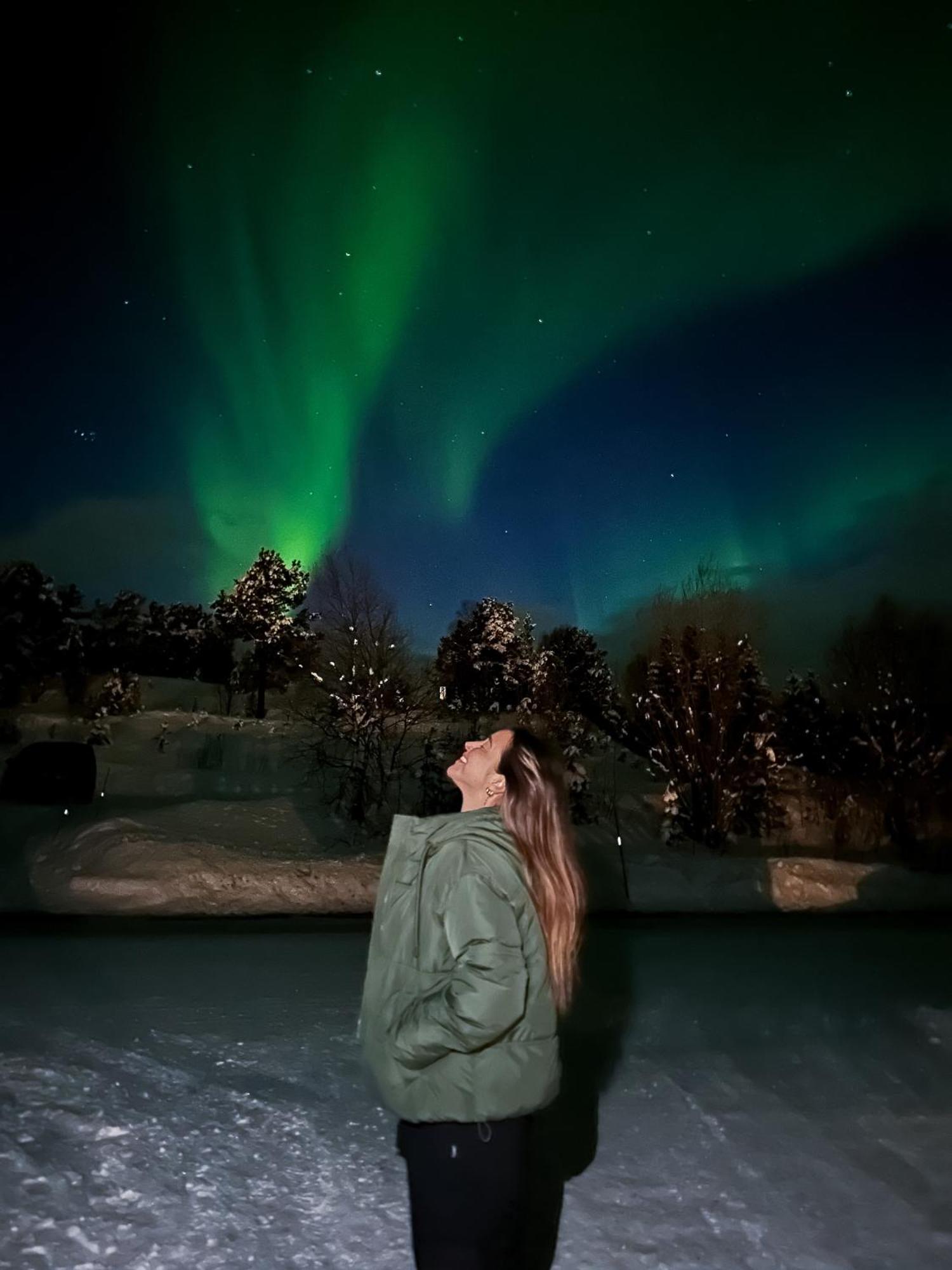 Norwegian Wild *